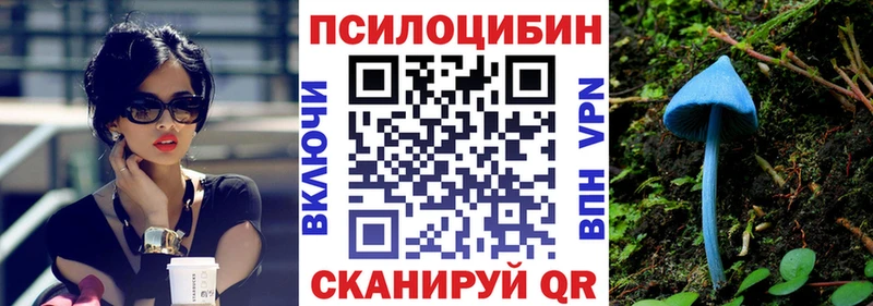 Купить  Амурск  Псилоцибиновые грибы Psilocybine cubensis 